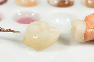 Dental crown and tooth model