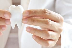 Dentist holding molar
